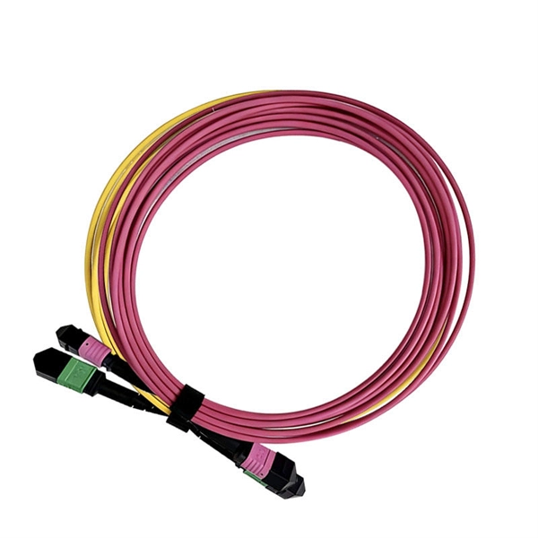 Can a switch contain an optical module 