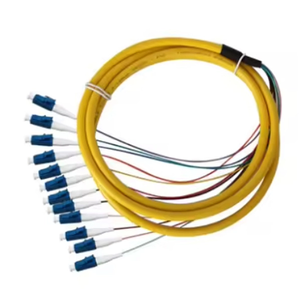 Fiber Optic Network Level
