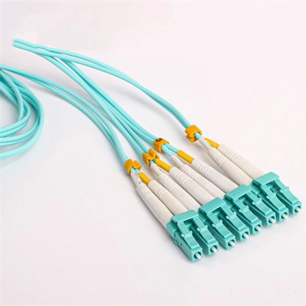 Case Study of Dutch Standard Fiber Optic Sensors